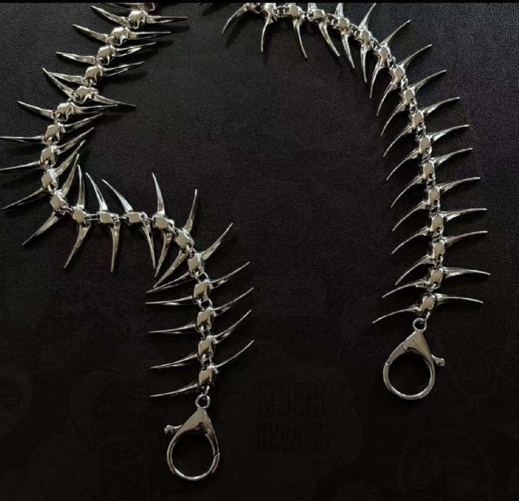 VERTEBRAE