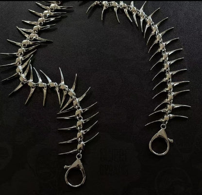 VERTEBRAE