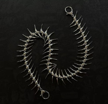 VERTEBRAE
