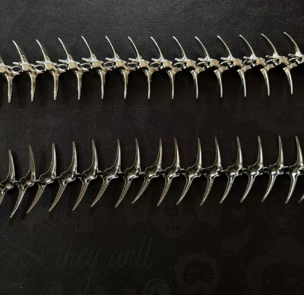 VERTEBRAE