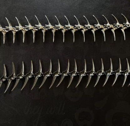 VERTEBRAE