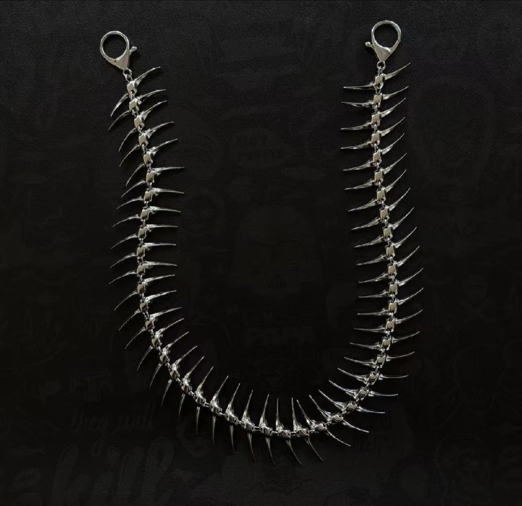 VERTEBRAE