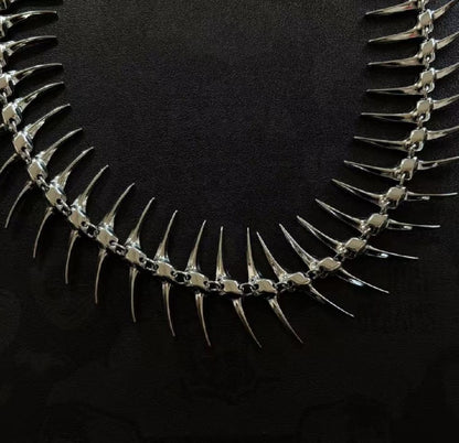 VERTEBRAE