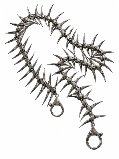 VERTEBRAE